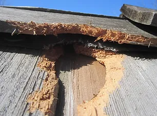 A close up of the wood on a house