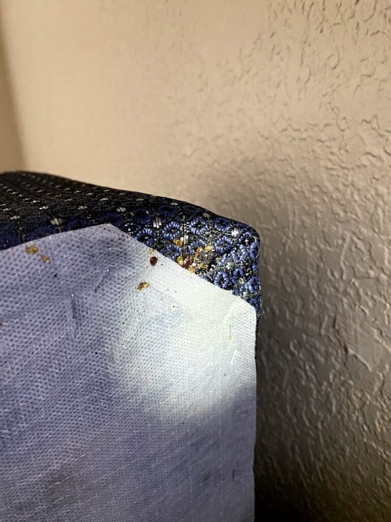 fancy bed with bedbugs