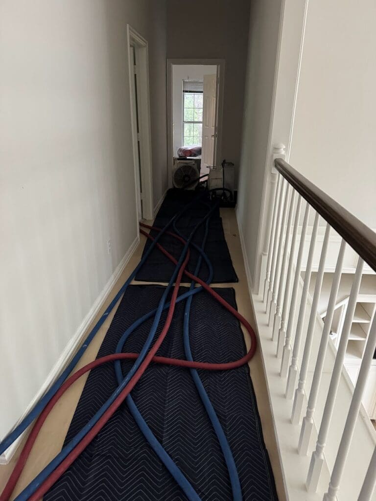 hoses through house