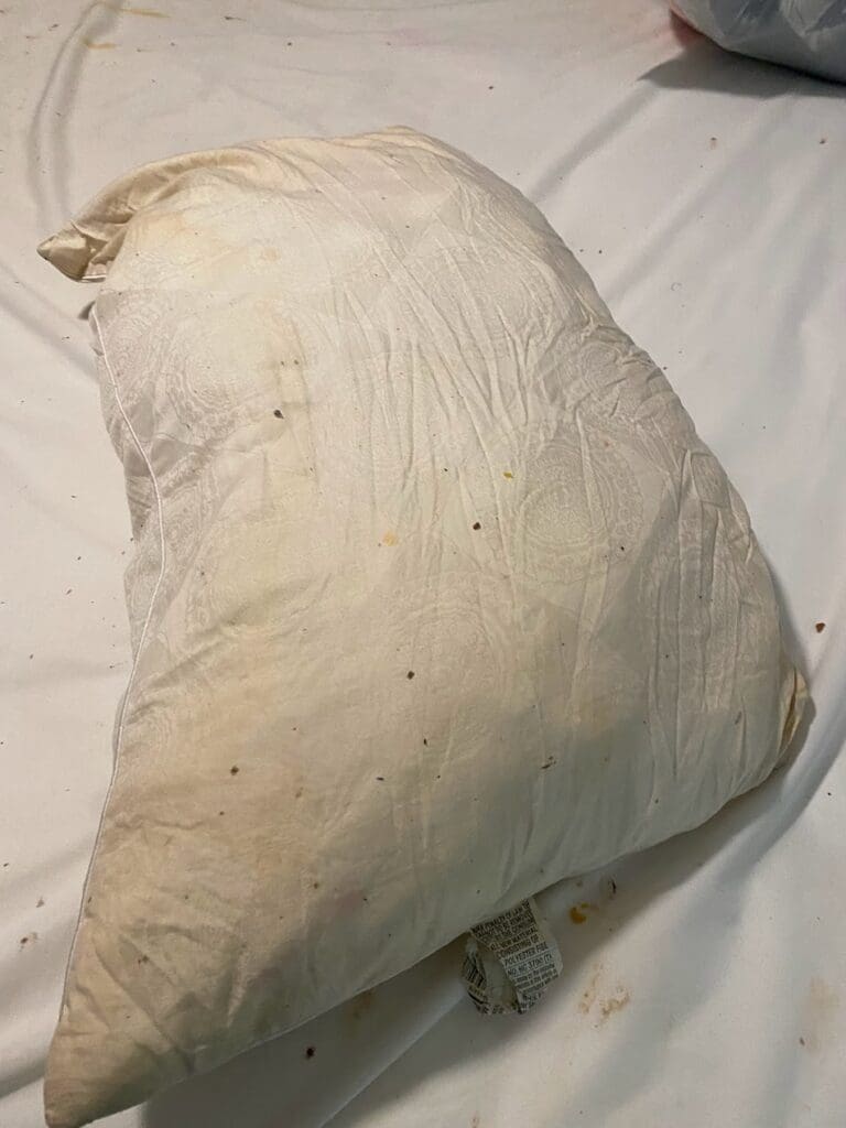 feces on pillow