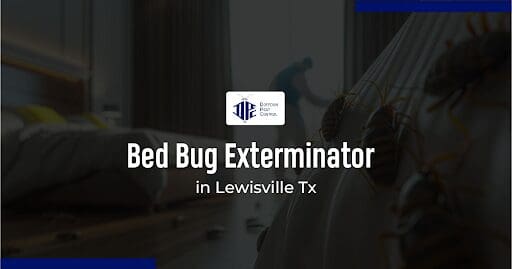 Bed Bug Control in Lewisville