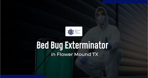 Exterminator in Flower Mound