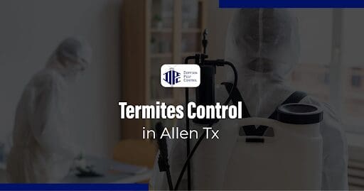 Termites Control in Allen TX: Expert Solutions for YourHome