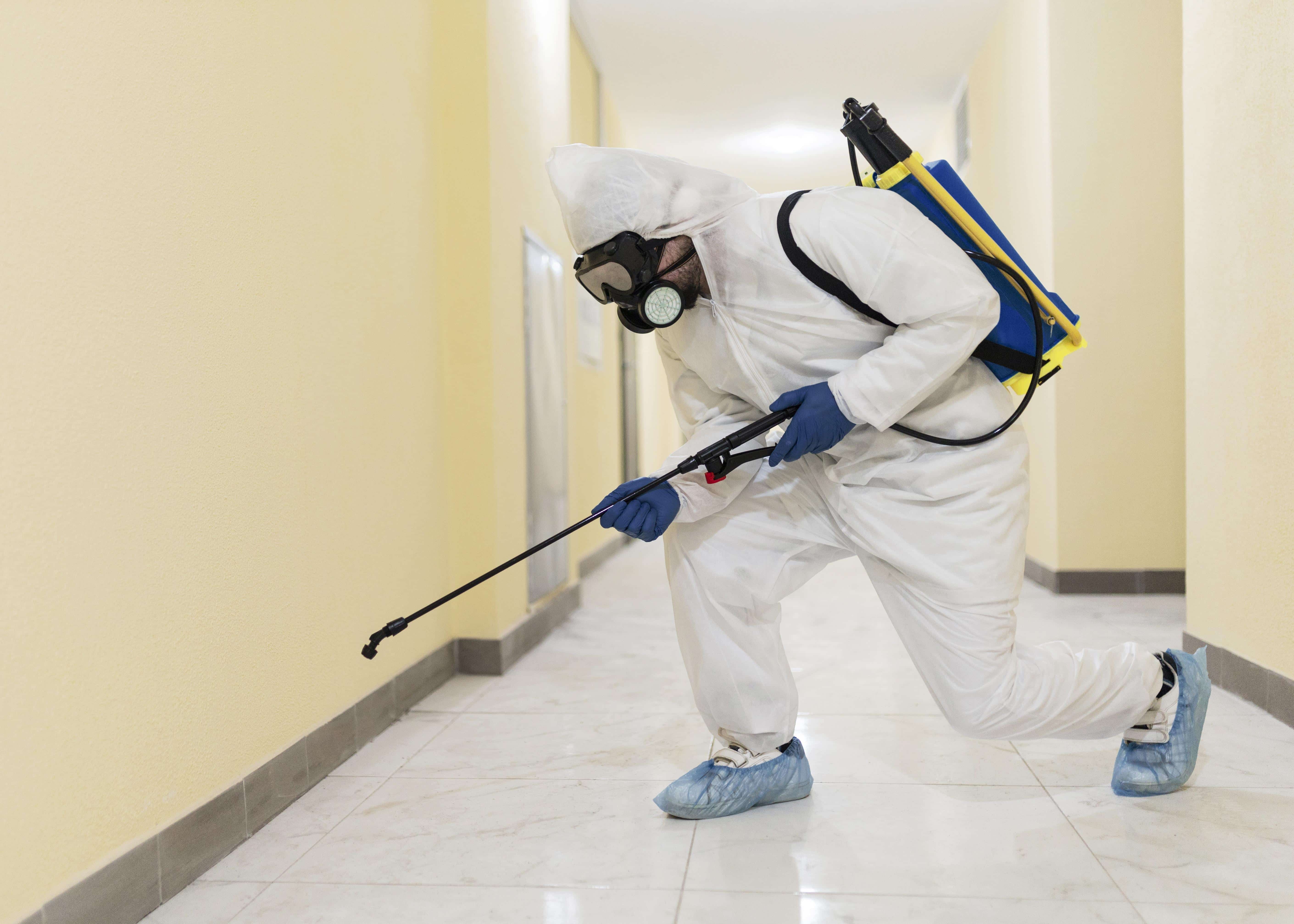 best bed bug exterminator near me