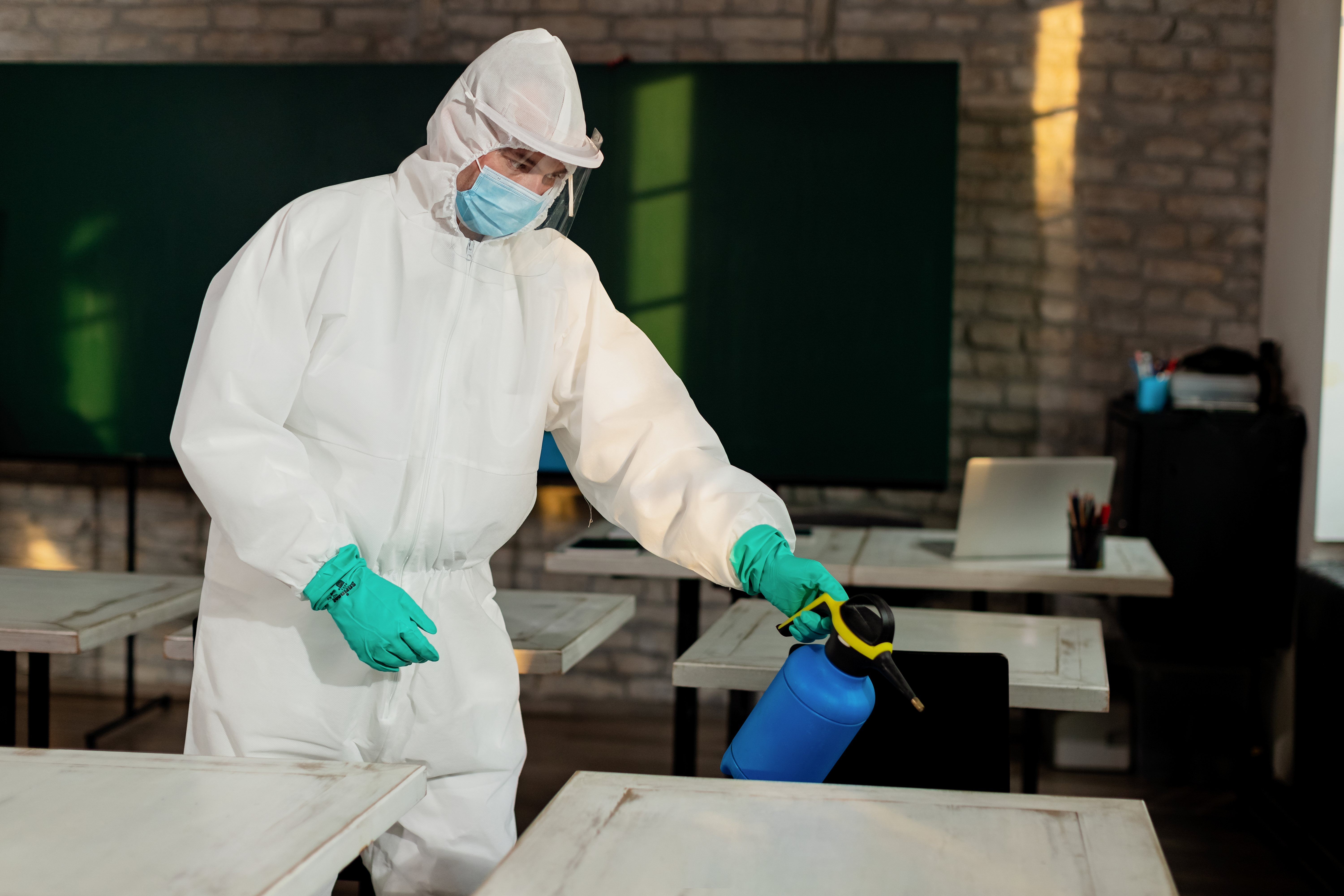 Why DIY Bed Bug Sprays Often Fail