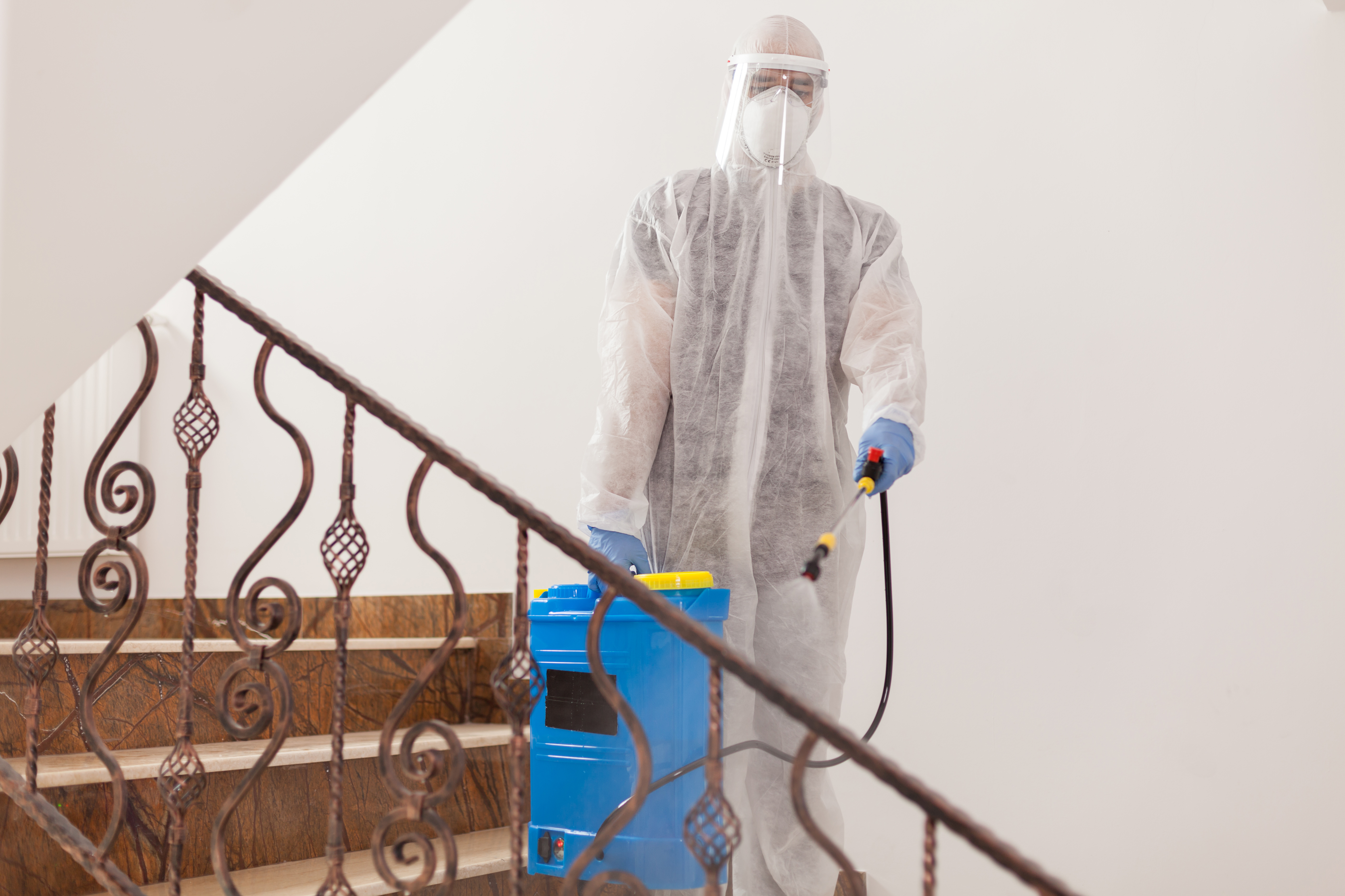 Local Pest Control Services in Blue Ridge, TX
