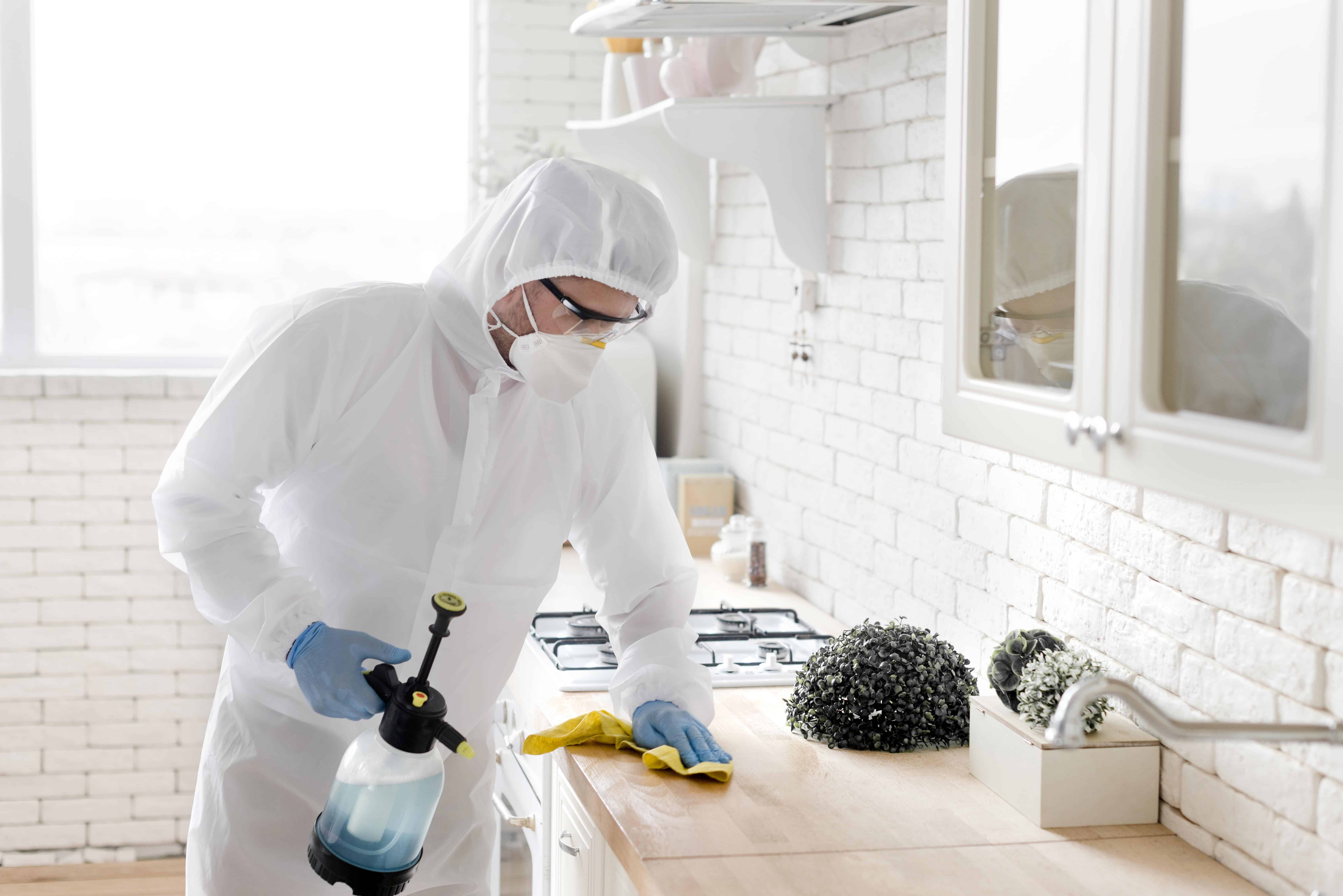 Why Pest Problems Tend to Spread Quickly