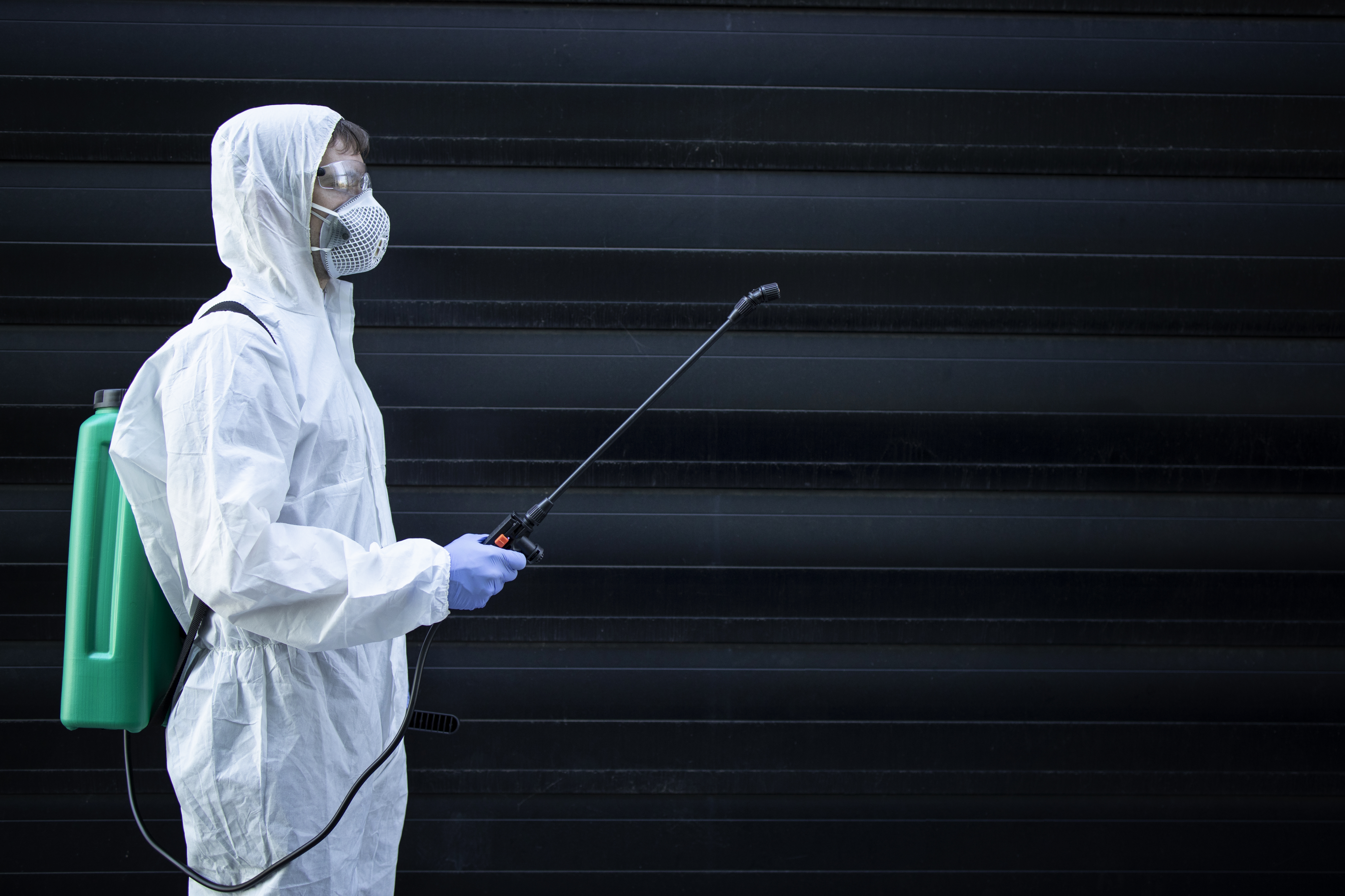 Signs You May Need Bed Bug Treatment