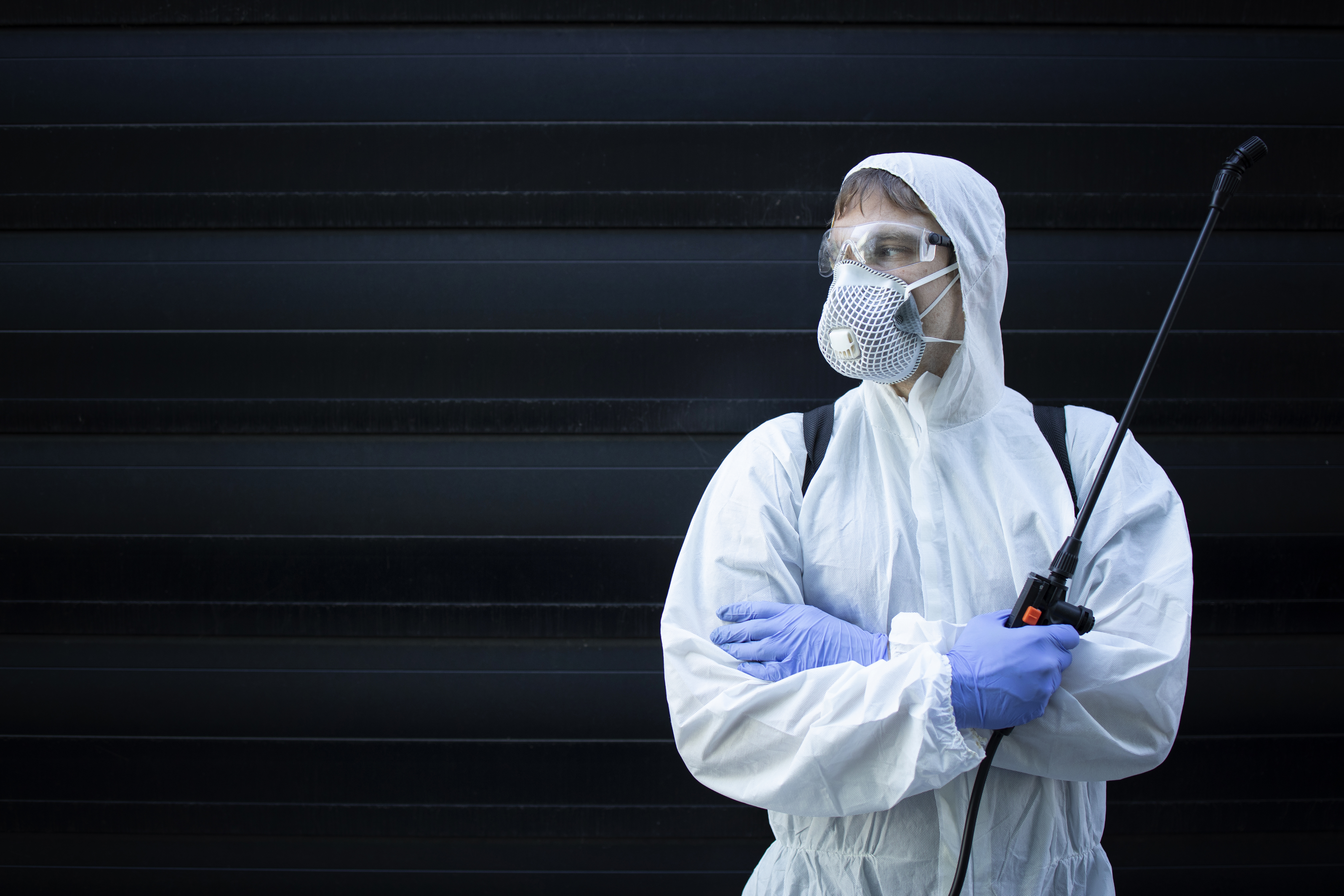 Need Pest Control Near Me in Blue Ridge, TX? Here’s What to Know