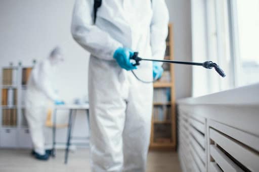 Affordable Bed Bug Control Blue Ridge TX