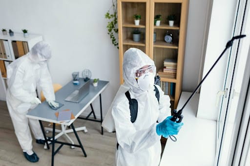 Why Local Bed Bug Treatment Matters in Blue Ridge, TX