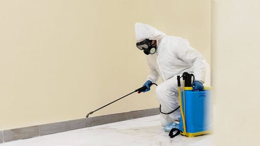 Common Signs You May Have Bed Bugs