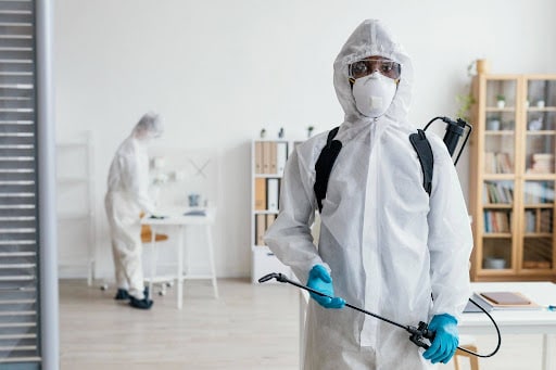 Bed Bug Inspection in St. Paul, TX