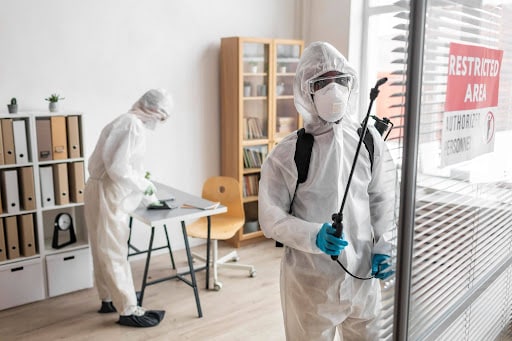 Local Pest Control Services in St. Paul, TX