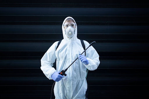 Are You Searching for Pest Control Near Me in Josephine, TX?