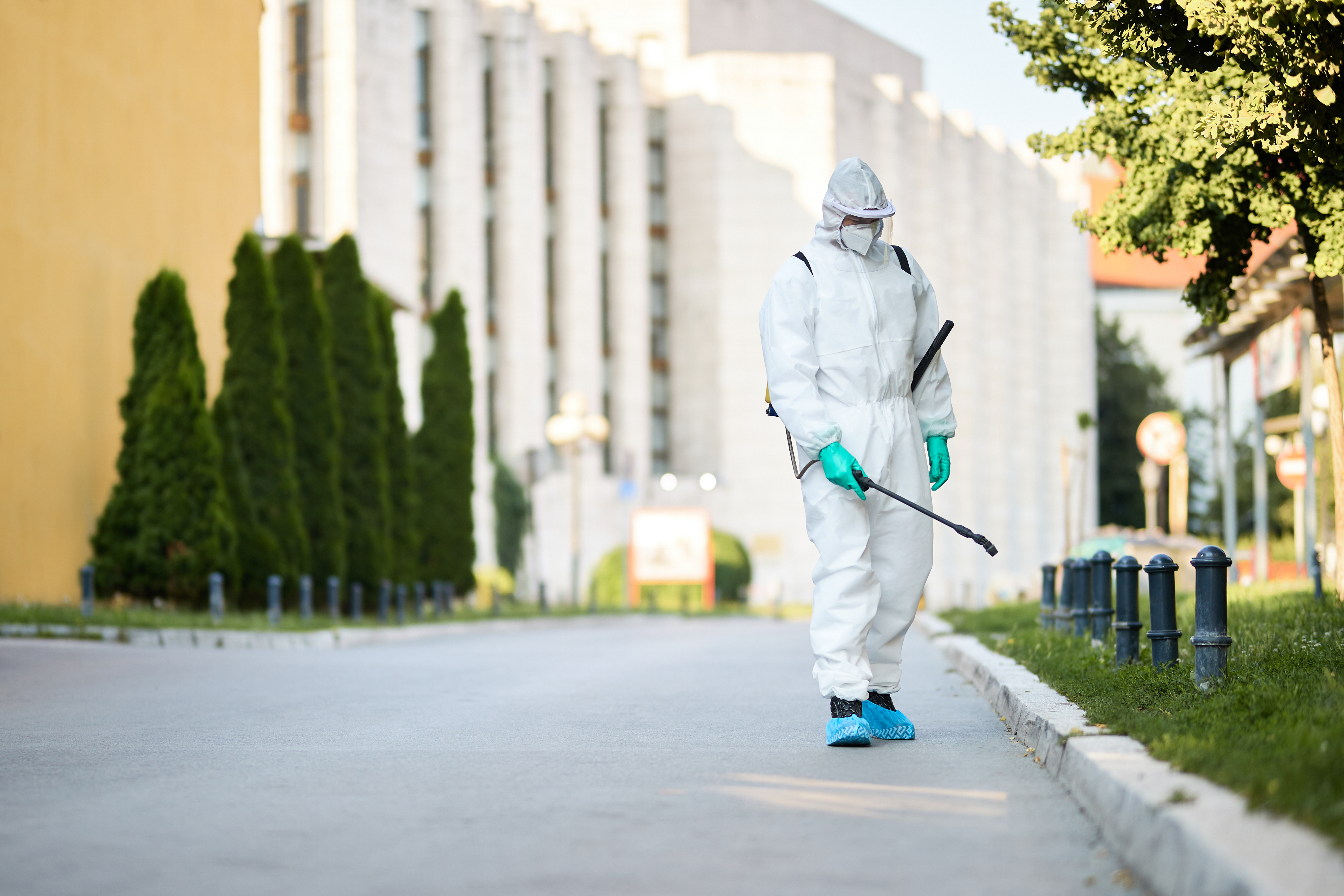Is It Time to Call a Pest Control Company Near Blue Ridge TX?