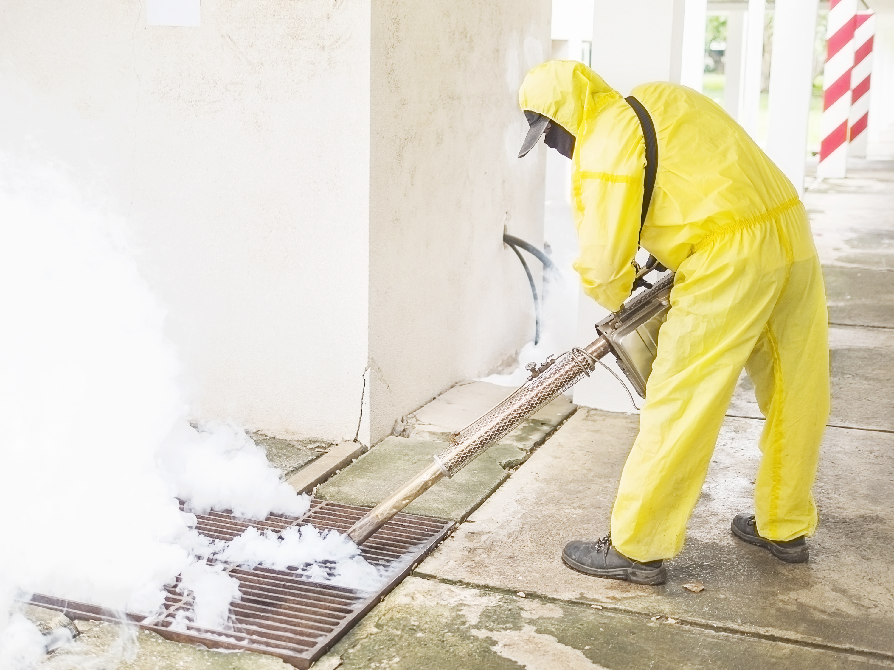 Professional Treatment vs. DIY Bed Bug Sprays
