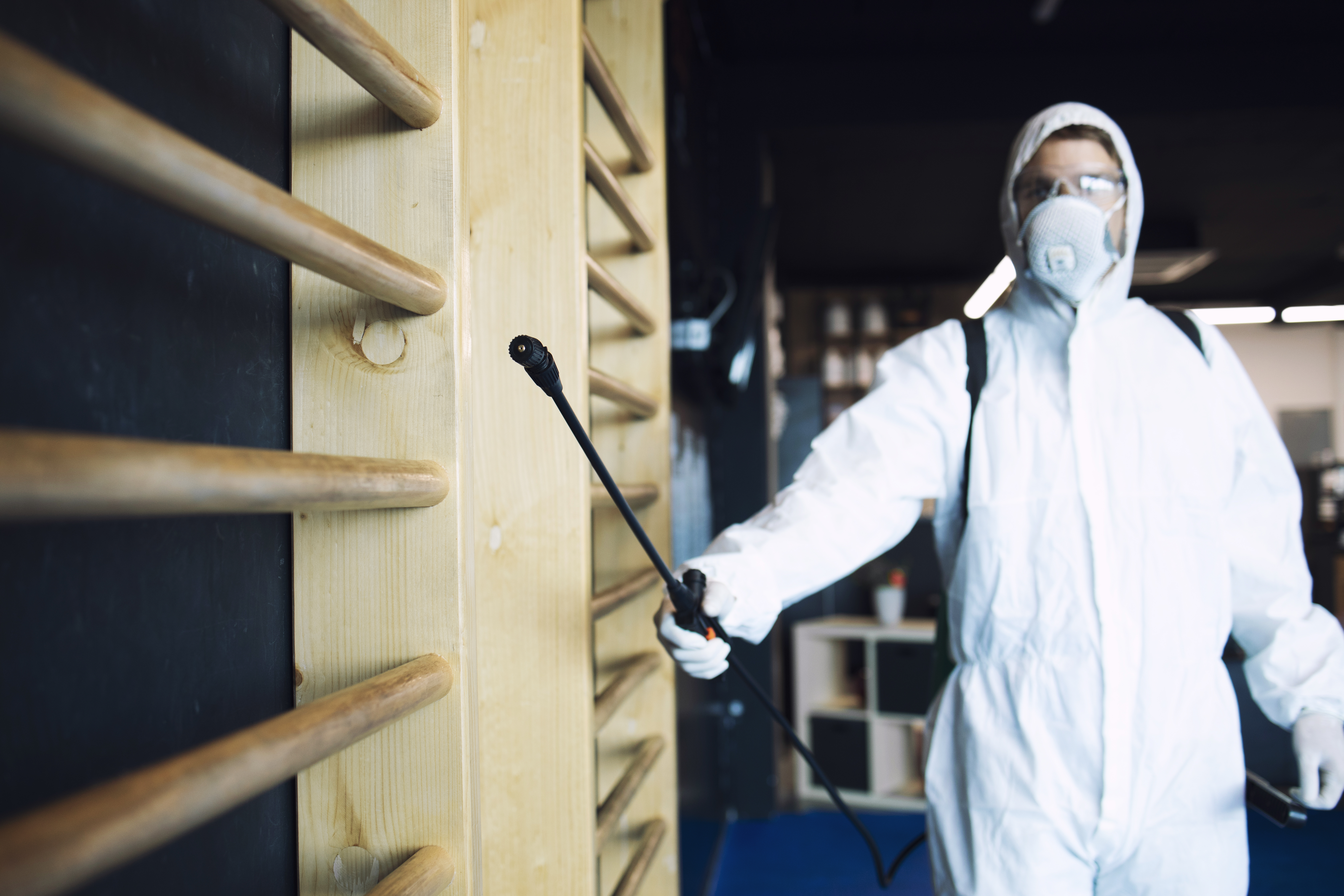 Bed Bug Treatment for Dallas Homes, Apartments, and Rental Properties