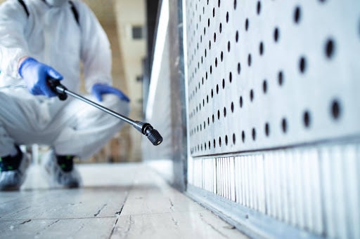 How Bed Bugs Spread in Apartment Buildings and Shared Housing: What Every Resident Should Know