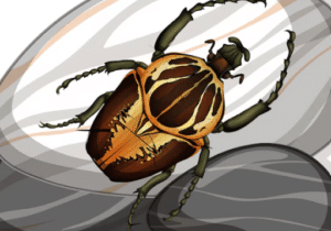How Often Should You Inspect Your Home for Bed Bugs?