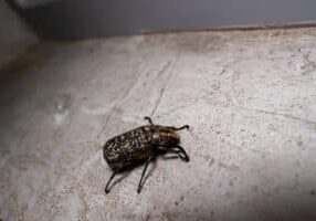 unnamed - 2026-04-17T223914.737